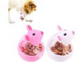 interactive-toy-and-feeder-treat-ball-cat-food-feeder-small-0