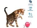 joykk-usb-cat-toy-interactive-automatic-self-rotating-rolling-ball-pet-toy-white-small-1