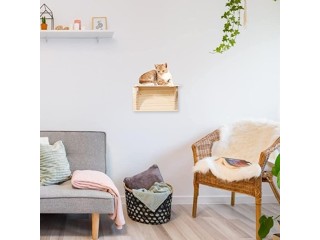 Wall Mounted Stairs for Cats