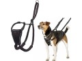 halti-no-pull-dog-harness-transparent-small-1