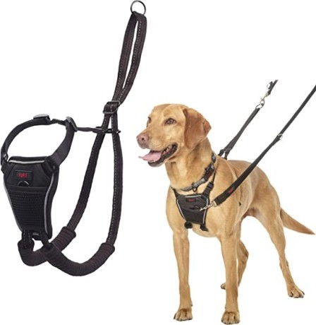 halti-no-pull-dog-harness-transparent-big-0