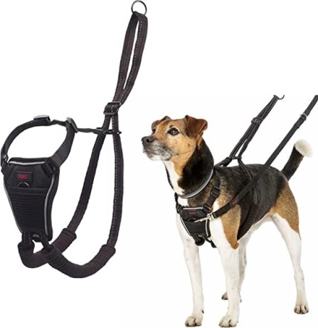 halti-no-pull-dog-harness-transparent-big-1