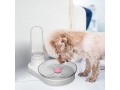 sm-sunnimix-haustier-wasserspender-transparente-flasche-abnehmbarer-katzen-wasserspender-fur-kleine-hunde-small-2