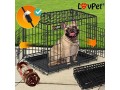 lovpet-foldable-dog-cage-including-fleece-blanket-and-bowl-dog-box-with-2-doors-transport-cage-car-animal-transport-box-with-base-tray-small-1