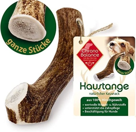 chronobalance-antler-chew-stick-xxl-whole-and-round-for-dogs-100-deer-antlers-chew-toy-dental-care-chew-snack-antlers-big-0