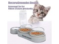 cat-bowl-set-15-tilting-double-wet-dry-food-bowl-with-automatic-water-bottle-for-small-and-medium-dogs-and-cats-small-2