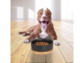 aromadogtag-amoa-ceramic-dog-bowl-with-wooden-saucer-black-non-slip-medium-small-2