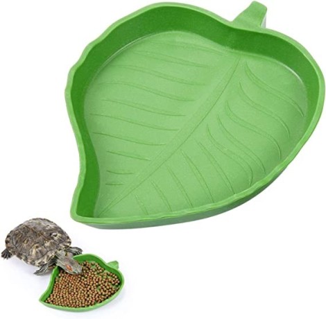habitat-accessories-reptile-food-bowl-wasserteller-big-0