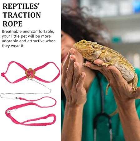 gatuida-lizard-leash-adjustable-turtle-lizard-pet-traction-belt-big-1