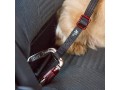 curli-dog-car-seat-belt-black-30-cm-small-2