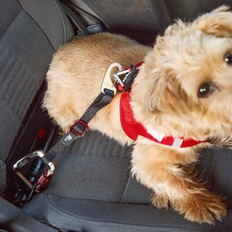 curli-dog-car-seat-belt-black-30-cm-big-3