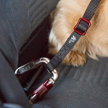 curli-dog-car-seat-belt-black-30-cm-big-2