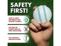 oneglobal-soft-safe-practice-cricket-ball-small-2