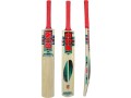 bdm-cashmere-willow-wood-cane-grip-tennis-cricket-bat-with-carry-bag-for-adults-small-1