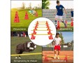 cone-hurdles-sport-3-hole-height-adjustable-training-hurdles-agility-set-for-children-athletes-pets-small-3