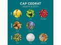 loccitane-cedrat-eau-de-toilette-cap-perfume-for-men-lemon-and-aquatic-fragrance-75-ml-small-2