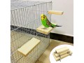 funmart-pack-of-3-birds-stair-platform-perch-stand-bird-toy-for-hamsters-mice-budgiescockatiellove-birdsfinches-small-1