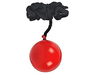 FITCOZI Cricket Practice Pvc/Rubber Hanging Ball Forkids, Black