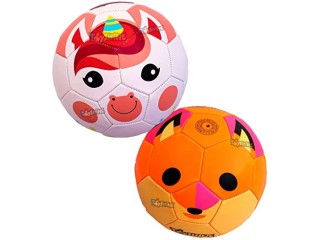 Toyshine Edu-Sports 2 in 1 Kids Football Soccer Educational Toy Ball