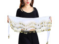 samheng-belly-dance-hip-scarf-belly-dance-skirt-hip-scarves-with-gold-coins-small-3