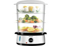 stainless-steel-electric-steamer-small-0