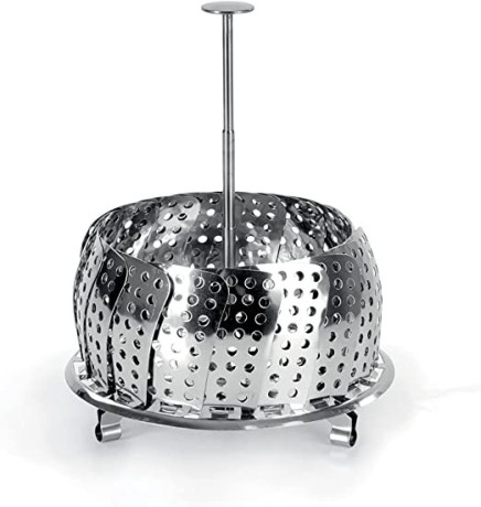 barazzoni-steam-basket-with-telescopic-handle-stainless-steel-big-1