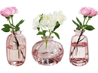 3pcs Decorative Glass Vases