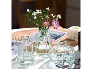 3 Glass Flower Vase