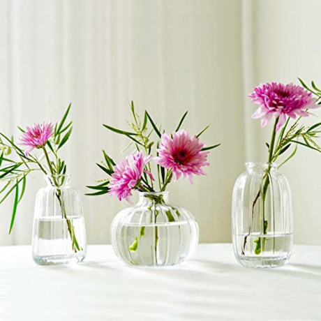 3-glass-flower-vase-big-3