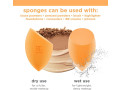 real-techniques-miracle-complexion-sponge-makeup-sponge-small-2