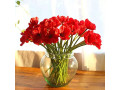 12-pcs-artificial-poppies-small-2