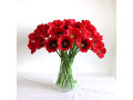 12-pcs-artificial-poppies-small-3