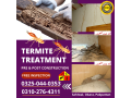 termite-deemak-pest-control-service-in-sahiwal-small-0