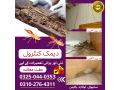termite-deemak-pest-control-service-in-sahiwal-small-1