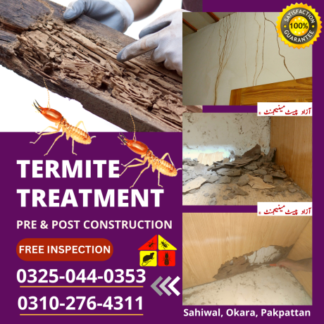 termite-deemak-pest-control-service-in-sahiwal-big-0