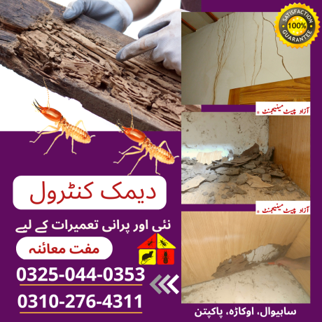 termite-deemak-pest-control-service-in-sahiwal-big-1