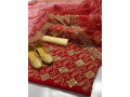 new-collection-3pieces-suits-indian-organza-9mm-dubatta-small-0