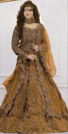 kashee-desinger-wedding-collection-front-net-heavy-embroidery-with-sequence-work-punching-moti-mirror-work-big-1