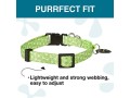 max-molly-cat-kitten-collar-with-bell-breakaway-safety-buckle-small-0