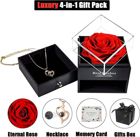 arabest-handmade-preserved-rose-jewelry-box-with-love-you-necklace-in-100-languages-gift-set-for-girlfriend-mother-wife-on-anniversary-valentines-big-2