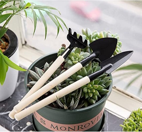 garden-tools-set-of-6-pcs-succulent-tools-pruning-scissors-as-plant-accessories-big-3