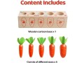 toy-carrots-montessori-toys-wooden-carrots-harvest-shape-size-sorting-game-childrens-small-1