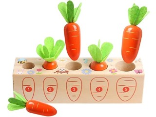 Toy Carrots, Montessori Toys Wooden Carrots Harvest Shape Size Sorting Game Children's