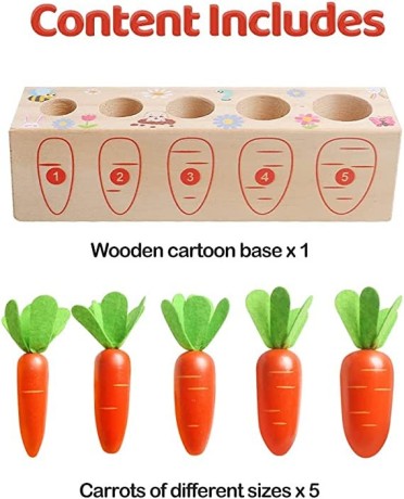 toy-carrots-montessori-toys-wooden-carrots-harvest-shape-size-sorting-game-childrens-big-1