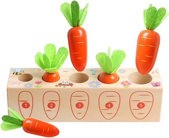 toy-carrots-montessori-toys-wooden-carrots-harvest-shape-size-sorting-game-childrens-big-0