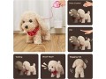 remote-control-electronic-pets-dog-toysoft-cuddly-dog-toy-walksbarksshake-tail-small-0