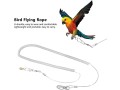 sagreeny-parrot-training-rope-bird-harness-leash-6m-bird-flying-rope-flexible-bird-leash-kits-ankle-foot-ring-accessories-for-bird-parrot-small-3