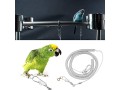 sagreeny-parrot-training-rope-bird-harness-leash-6m-bird-flying-rope-flexible-bird-leash-kits-ankle-foot-ring-accessories-for-bird-parrot-small-1