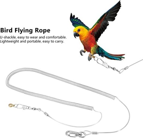 sagreeny-parrot-training-rope-bird-harness-leash-6m-bird-flying-rope-flexible-bird-leash-kits-ankle-foot-ring-accessories-for-bird-parrot-big-3