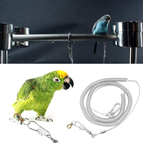 sagreeny-parrot-training-rope-bird-harness-leash-6m-bird-flying-rope-flexible-bird-leash-kits-ankle-foot-ring-accessories-for-bird-parrot-big-1